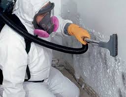  Lake Hamilton, FL Mold Removal & Remediation Pros